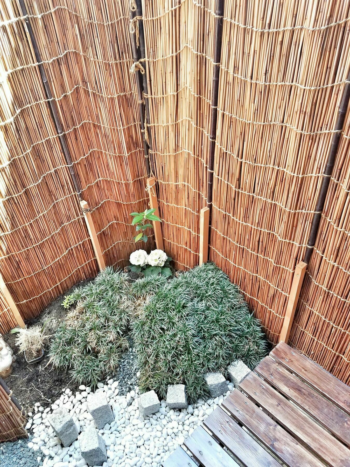 Toufuku Inn 京都 外观 照片